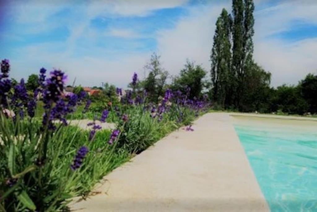Les Vacances Passy  Exterior foto